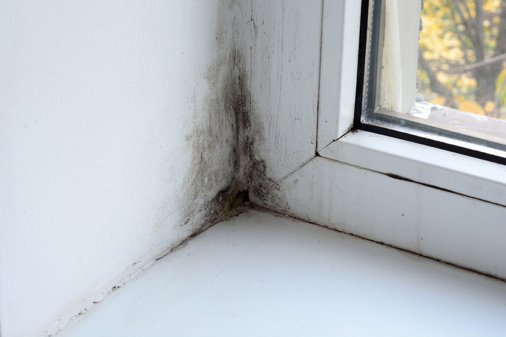 Schimmel in der Fensterlaibung